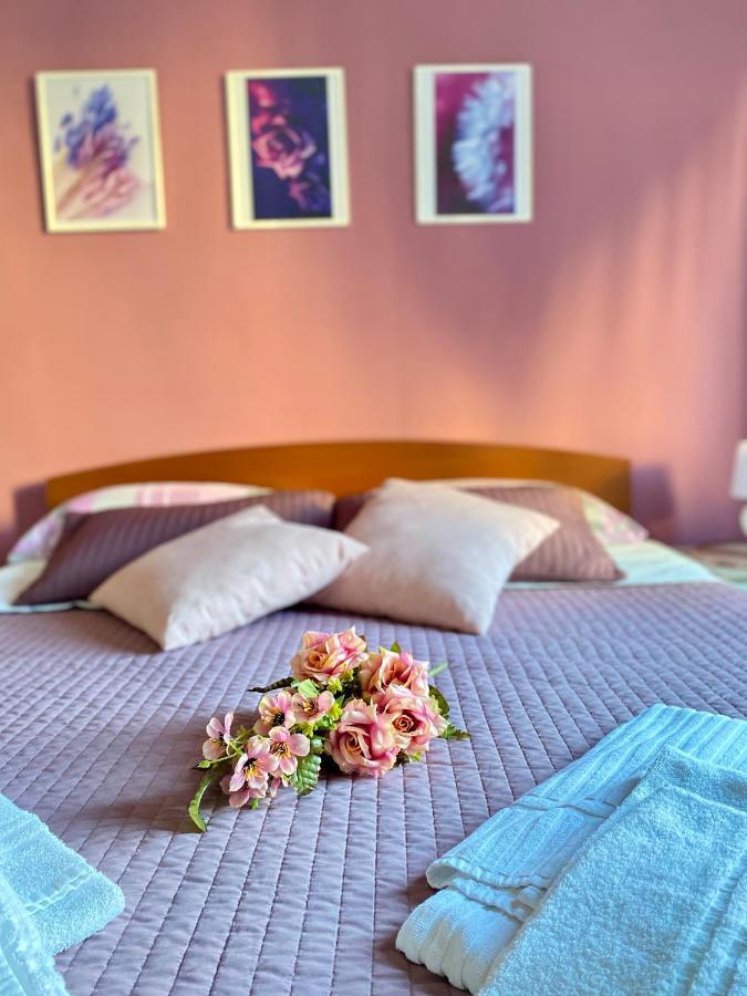 Dreams In Rome - Colosseum Apartment מראה חיצוני תמונה